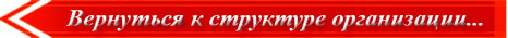 О структуре предприятия.